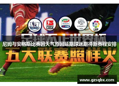 尼姆与安格斯比赛因天气原因延期球迷期待新赛程安排