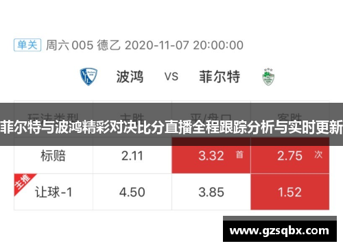菲尔特与波鸿精彩对决比分直播全程跟踪分析与实时更新